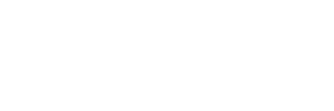 BIV Logo